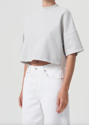 AGOLDEAgolde Reed Cropped Fleece Tee - Spoon 1 AGOLDEAgolde Reed Cropped Fleece Tee - Spoon