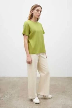 KowtowClassic Tee - Gingko -ANINE BING || ULLA JOHNSON || AGOLDE Shop Classic Tee 20230301204609 2