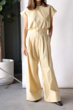 Rachel ComeyLynx Top - Corn -ANINE BING || ULLA JOHNSON || AGOLDE Shop Rachel Comey Lynx Top in Corn 20230420085226