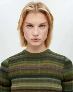 RE/DONERib Crew Neck - Green Dye 8 RE/DONERib Crew Neck - Green Dye -ANINE BING || ULLA JOHNSON || AGOLDE Shop Rib Crew Neck 20231005002341 2